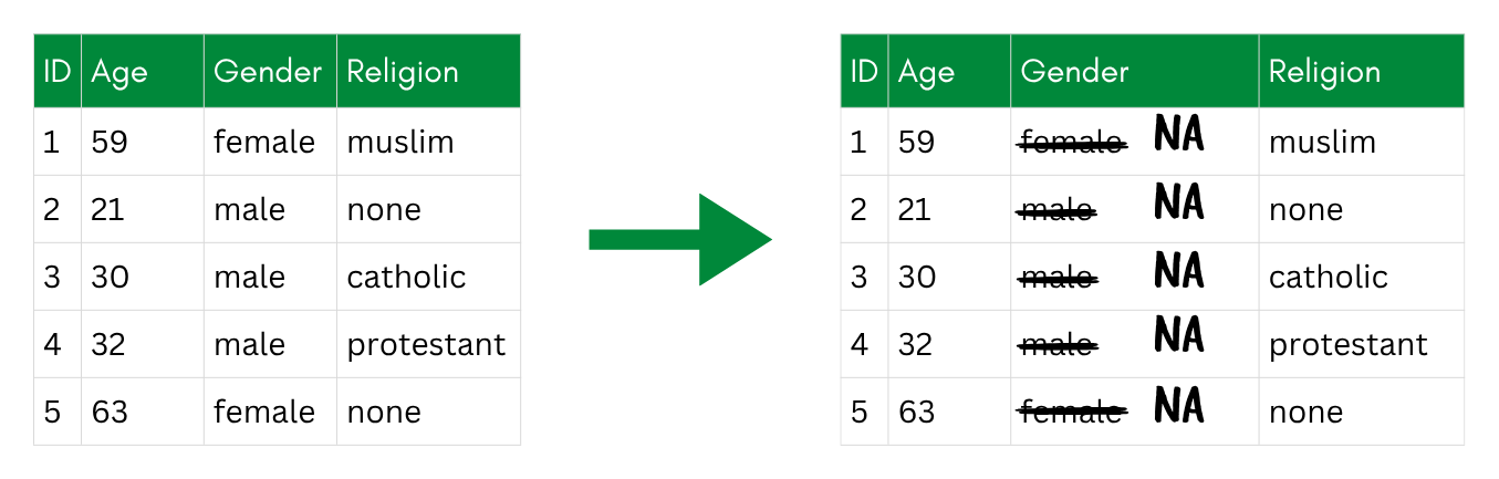 Suppression: risky values (here the whole Gender column) are replaced with `NA`.