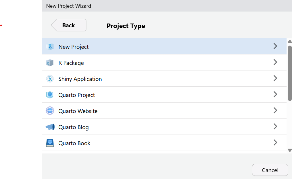 new R project