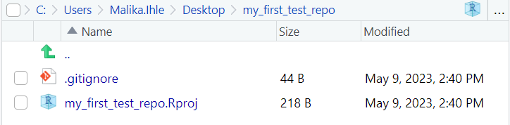 Project files