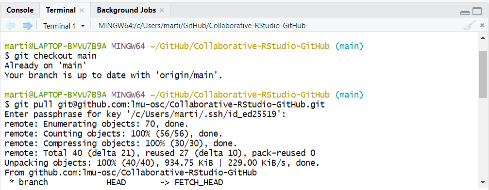 A screenshot of an RStudio terminal showing Git commands ‘git checkout main’ and ‘git pull’ with successful output messages.