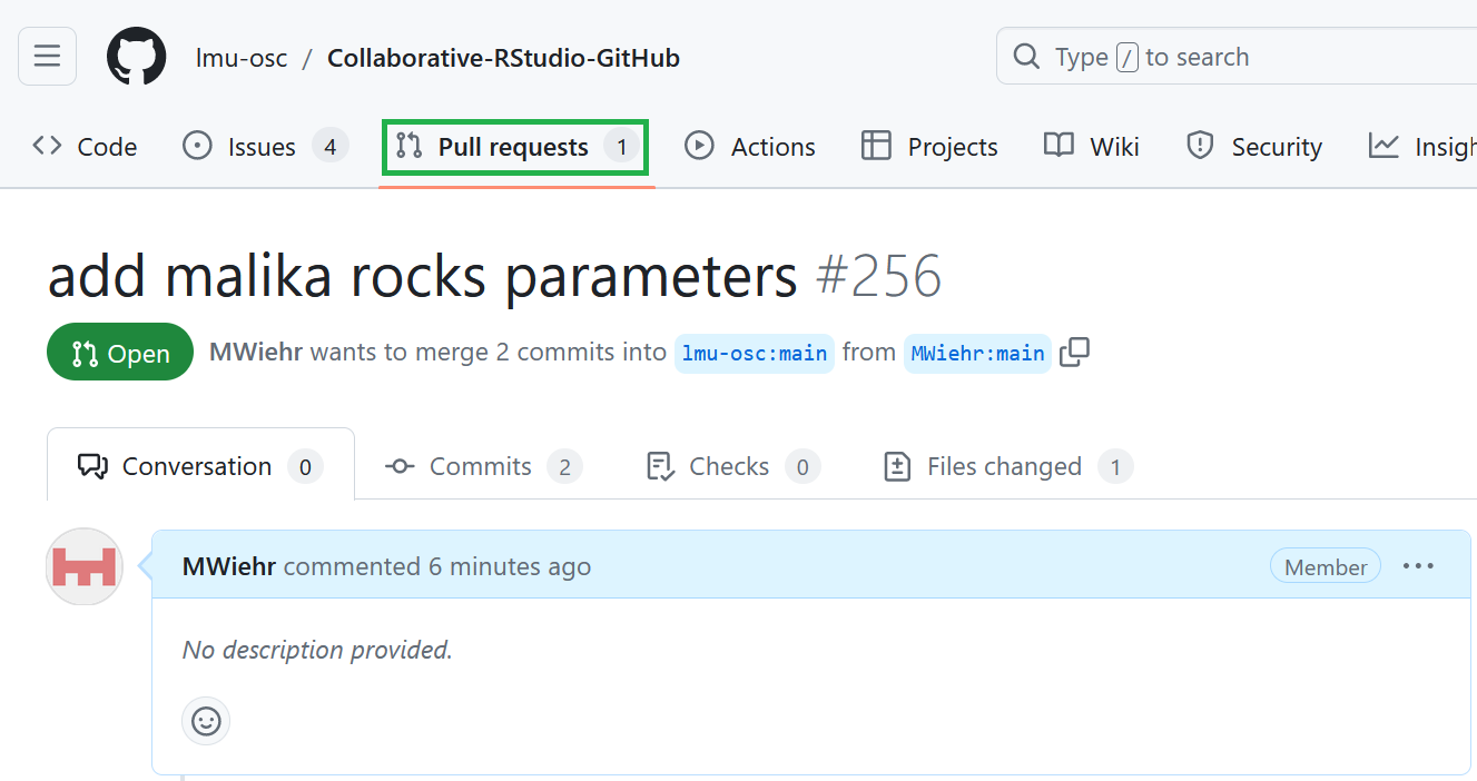 A screenshot of an open GitHub pull request titled ‘add malika rocks parameters,’ with the ‘Pull requests’ tab highlighted in green.