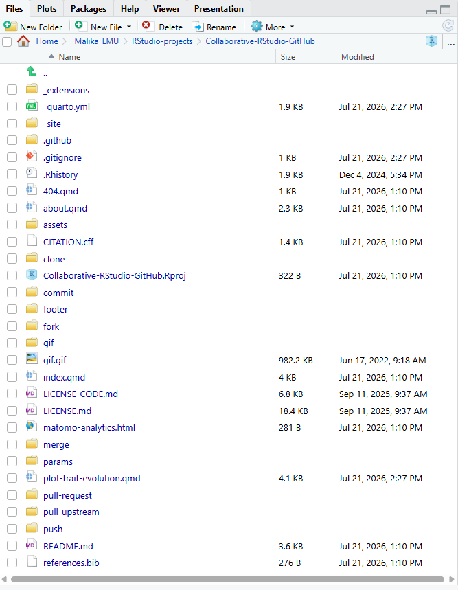 An image of the 'Files' tab in RStudio displaying the files of the cloned GitHub repository.
