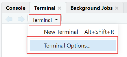The 'Terminal Options...' selection is highlighted with a red rectangle under the options in Terminal within RStudio.