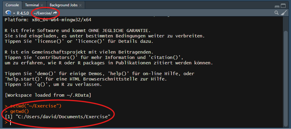 Screenshot of the RStudio console pane