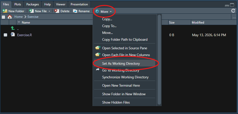 Screenshot of the RStudio output pane showing the steps to set the working directory