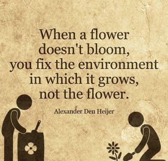 Quote by Alexander den Heijer that says When a flower does not bloom, you fix the environment in which it grows, not the flower