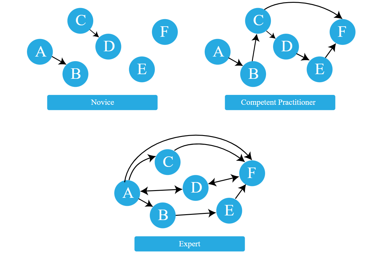 figure representing the mental models of the three type of learners: novices, competent practitioners, experts
