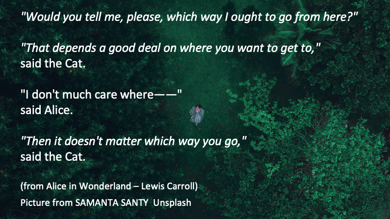 quote from conversation between the cat and alice in wonderland about where she has to go from here